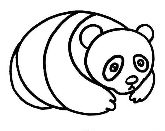 幼儿小熊猫简笔画图片
