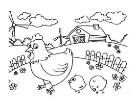 农场里的鸡简笔画