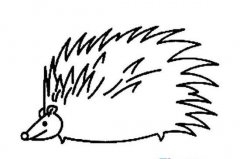 幼儿动物简笔画图片：刺猬