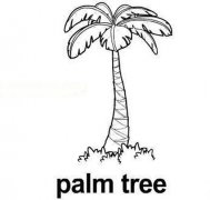 儿童简笔画：椰子树