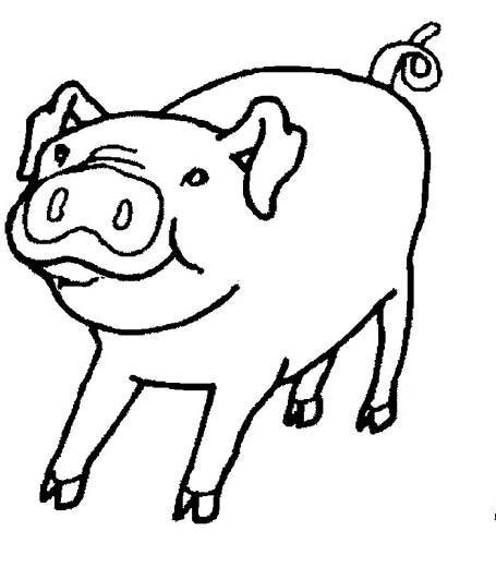 儿童简笔画：猪