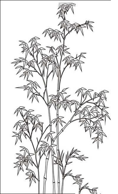 竹子树简笔画图片