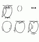 如何画猫头鹰的简笔画教程