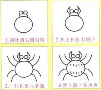蜘蛛简笔画画法步骤：怎么画蜘蛛