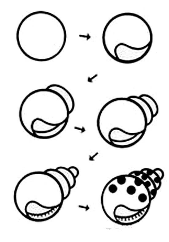 贝壳简笔画的画法：怎么画贝壳
