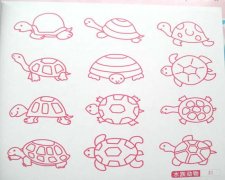 各种形态的乌龟简笔画图片大全