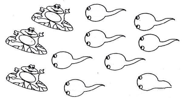 幼儿卡通蝌蚪和青蛙简笔画图片