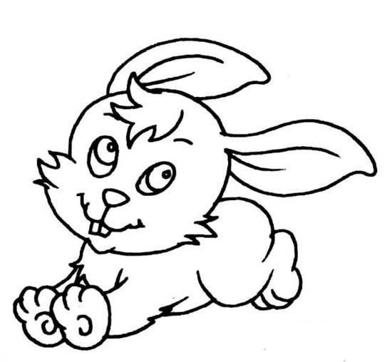 幼儿动物简笔画:可爱的小白兔