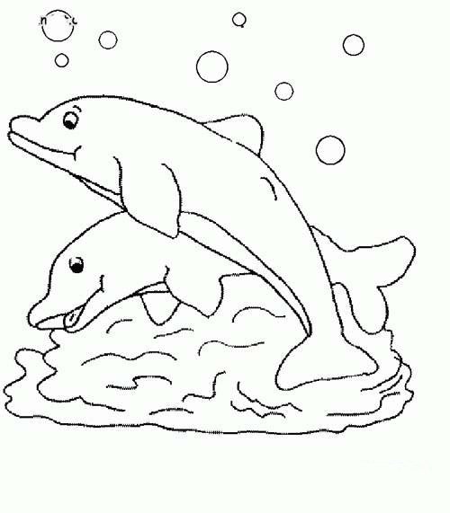 水中嬉戏的两只海豚简笔画图片