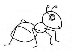 昆虫简笔画：蚂蚁
