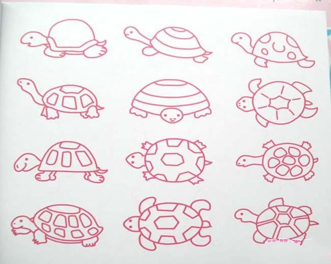 各种形态的乌龟简笔画图片大全