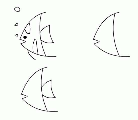 简笔画教程：怎么画热带鱼简笔画