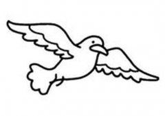 飞翔的海鸥简笔画图片