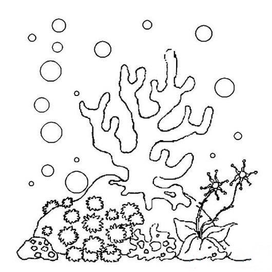 幼儿珊瑚群简笔画图片