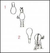 关于马的简笔画画法