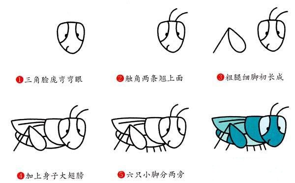 蟋蟀简笔画画法步骤:怎么画蟋蟀