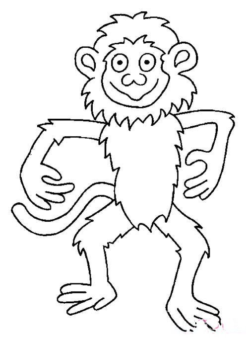 儿童猴子简笔画图片大全