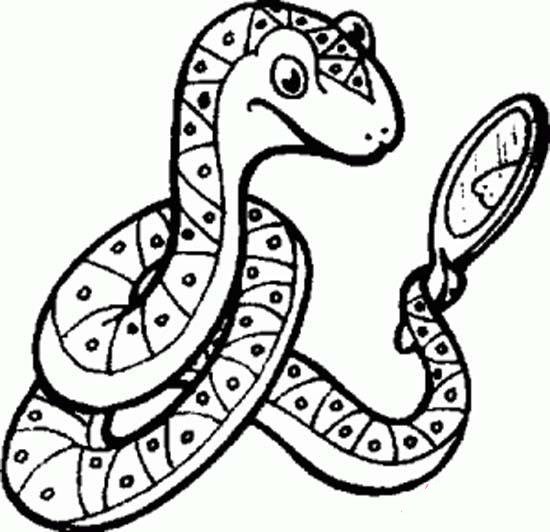 卡通蛇的简笔画:照镜子的蛇