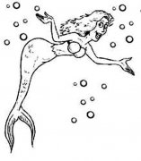 海底美人鱼简笔画图片