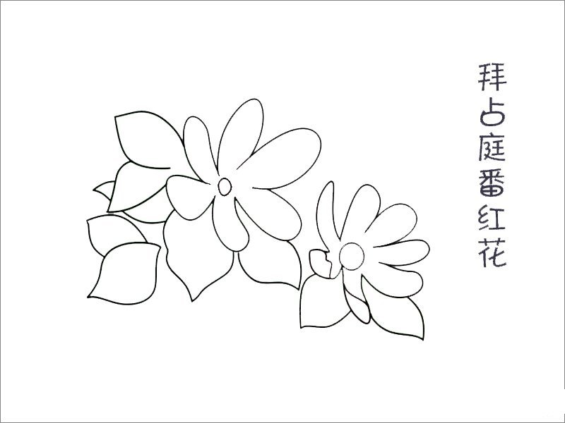 拜占庭番红花简笔画