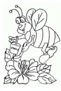 卡通蜜蜂采蜜简笔画图片