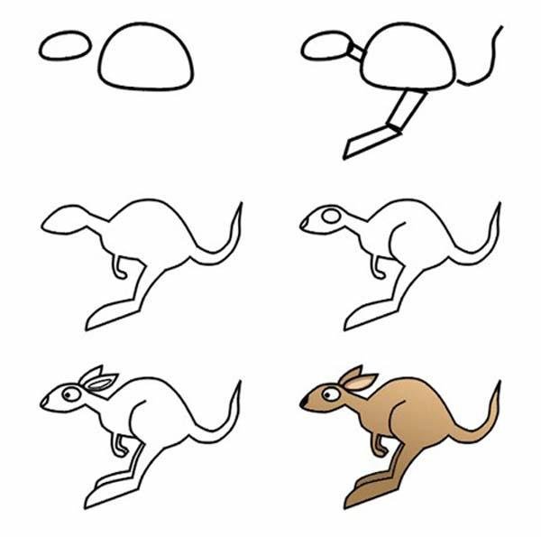 袋鼠的简笔画画法步骤：怎么画袋鼠