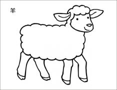 羊怎样画