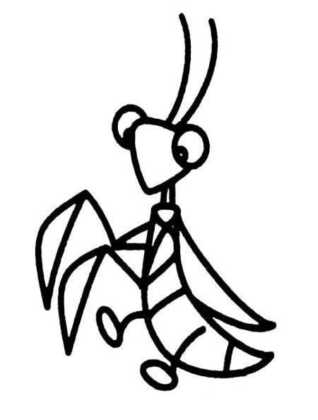 幼儿园螳螂简笔画图片