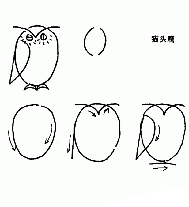 如何画猫头鹰的简笔画教程