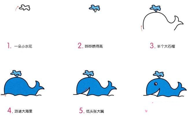 鲸鱼简笔画的画法步骤：如何画鲸鱼