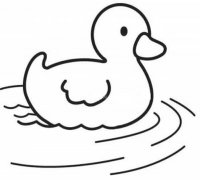 水里游的鸭子简笔画