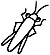 幼儿园蟋蟀简笔画图片