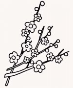 儿童简笔画：梅花树