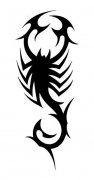 蝎子纹身简笔画图片