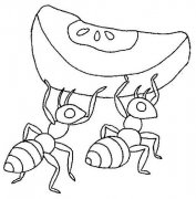 搬食物的蚂蚁简笔画