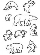 各种体态的熊简笔画图片大全
