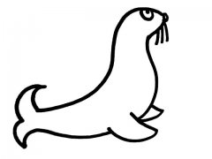 海狮简笔画