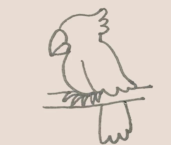 简笔画之鹦鹉