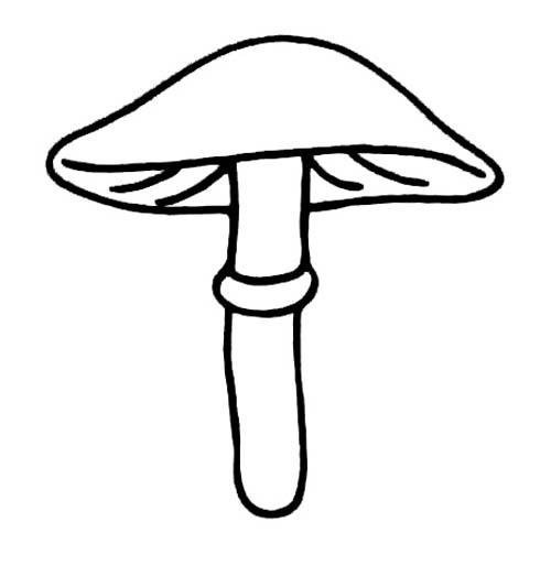 漂亮的伞状蘑菇简笔画图片