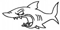 凶恶的鲨鱼简笔画图片