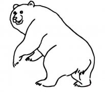 儿童关于熊的简笔画图片