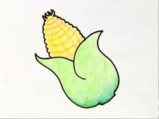 彩色玉米简笔画图片