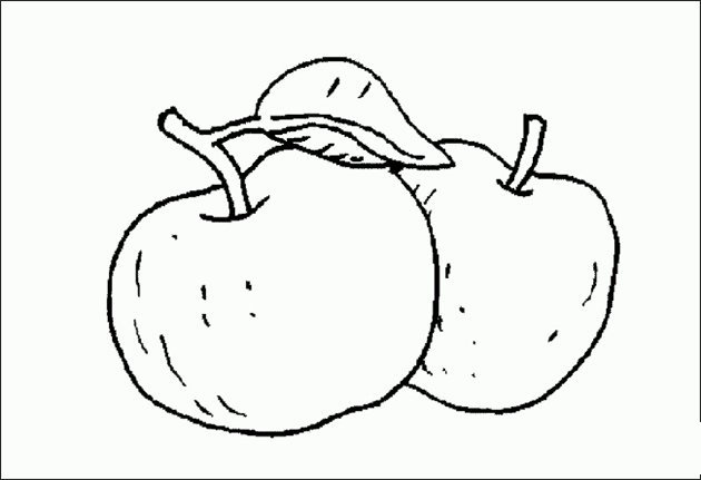 两只苹果简笔画