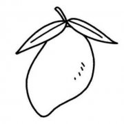 儿童水果简笔画图片：芒果