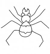 儿童蜘蛛简笔画图片