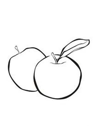 苹果简笔画大全：两个苹果