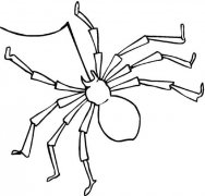儿童毒针蜘蛛简笔画图片
