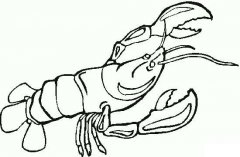 幼儿海洋动物简笔画：大龙虾