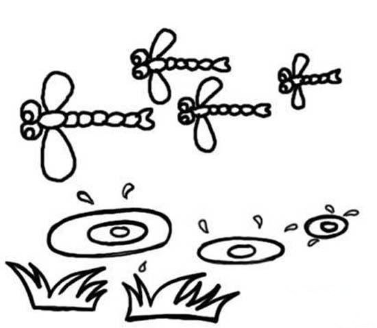 幼儿简笔画：池塘上的蜻蜓