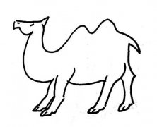 幼儿园骆驼简笔画图片